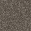 Tarkett Avalon Landmark carpet swatch