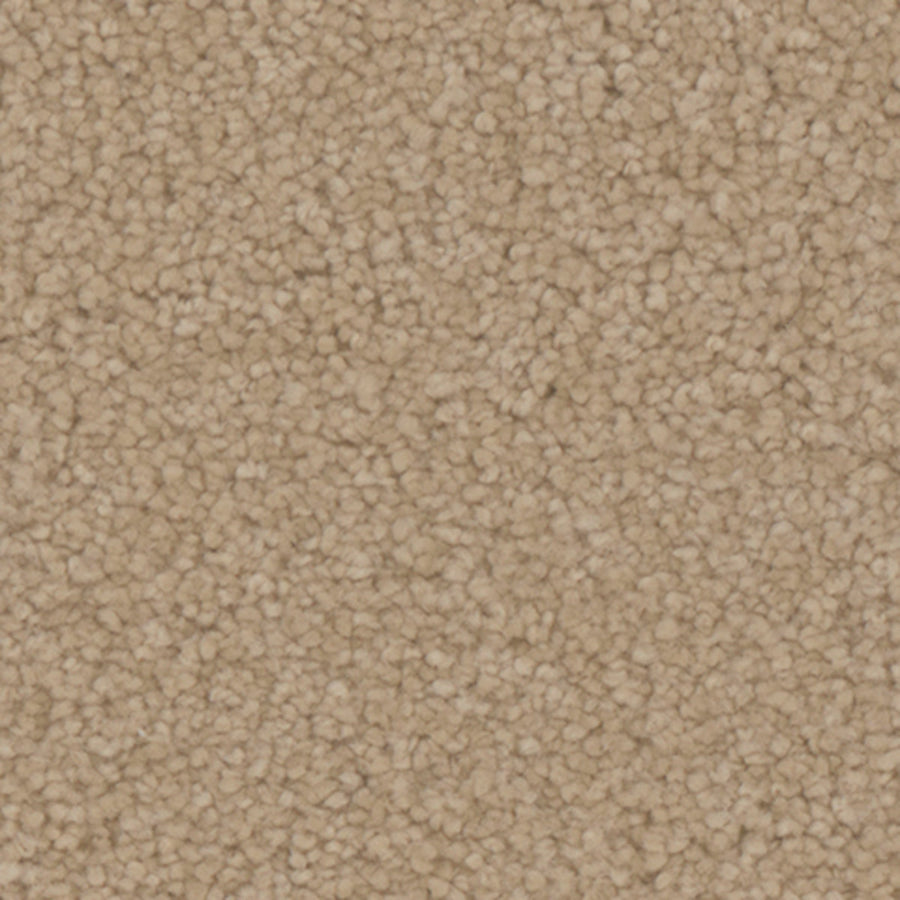 Tarkett Balmoral Bungalow carpet swatch