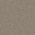 Tarkett Balmoral Stable carpet swatch