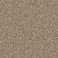 Tarkett Balmoral Cottage carpet swatch