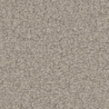 Tarkett Balmoral Haven carpet swatch