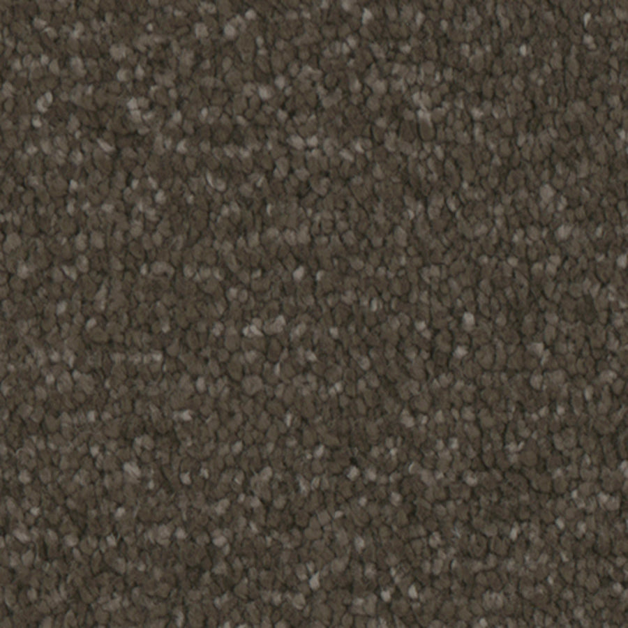 Tarkett Balmoral Woodlands carpet swatch