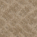 Tarkett Cheshire Dwelling carpet swatch