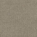 Tarkett Collective Sophisticated carpet swatch