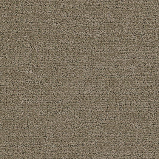 Tarkett Collective Connoisseur carpet swatch