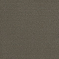 Tarkett Embellish Fancy carpet swatch