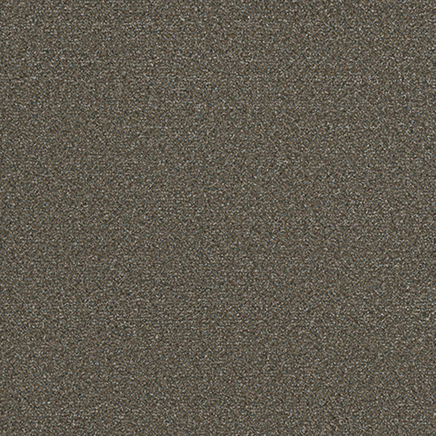 Tarkett Embellish Fancy carpet swatch