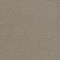 Tarkett Embellish Cherish carpet swatch