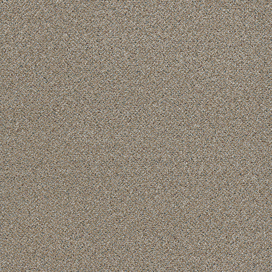 Tarkett Embellish Cherish carpet swatch
