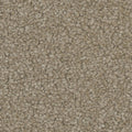 Tarkett Enamour Appeal carpet swatch