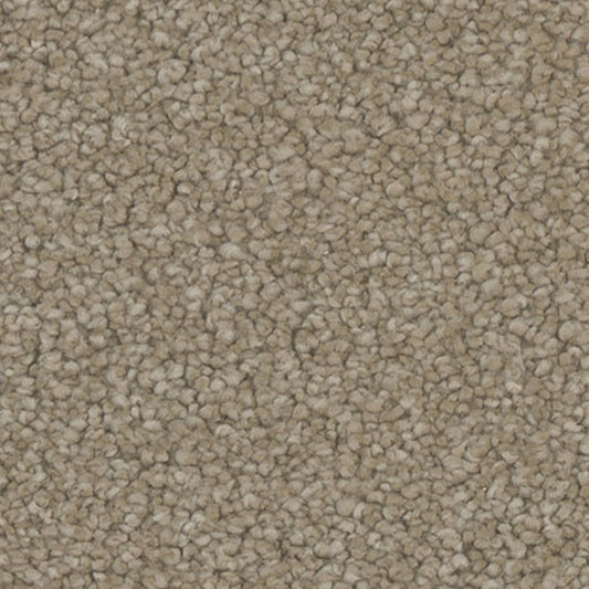 Tarkett Enamour Appeal carpet swatch