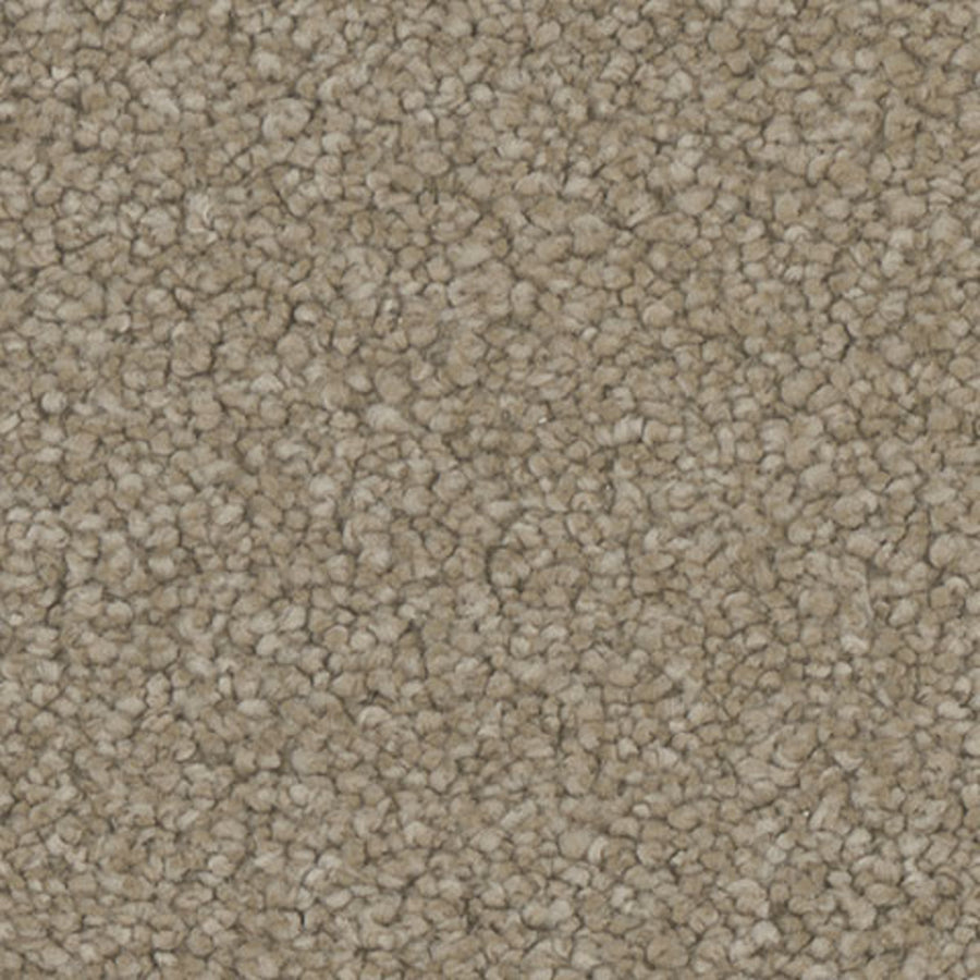 Tarkett Enamour Appeal carpet swatch