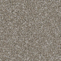 Tarkett Enamour Engage carpet swatch