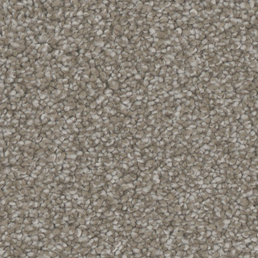 Tarkett Enamour Engage carpet swatch