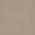 Tarkett Eterna Blissful carpet swatch