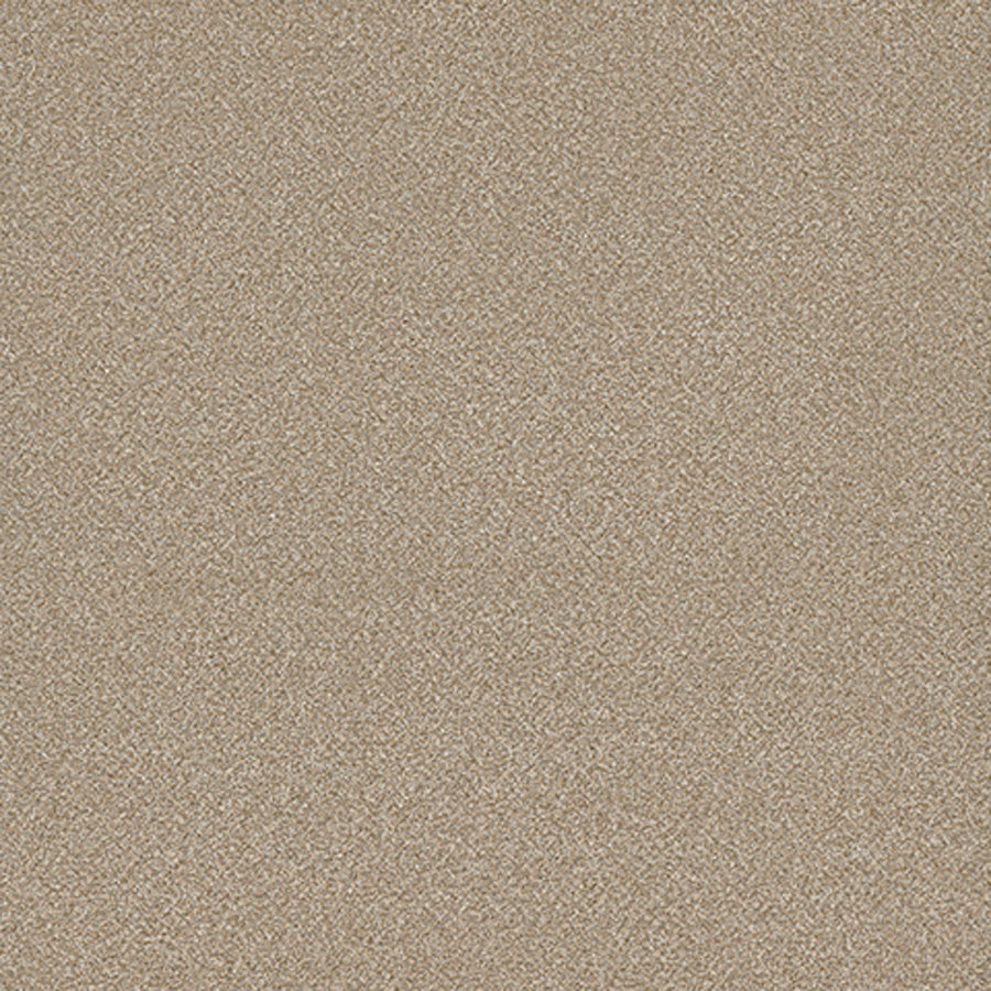 Tarkett Eterna Blissful carpet swatch