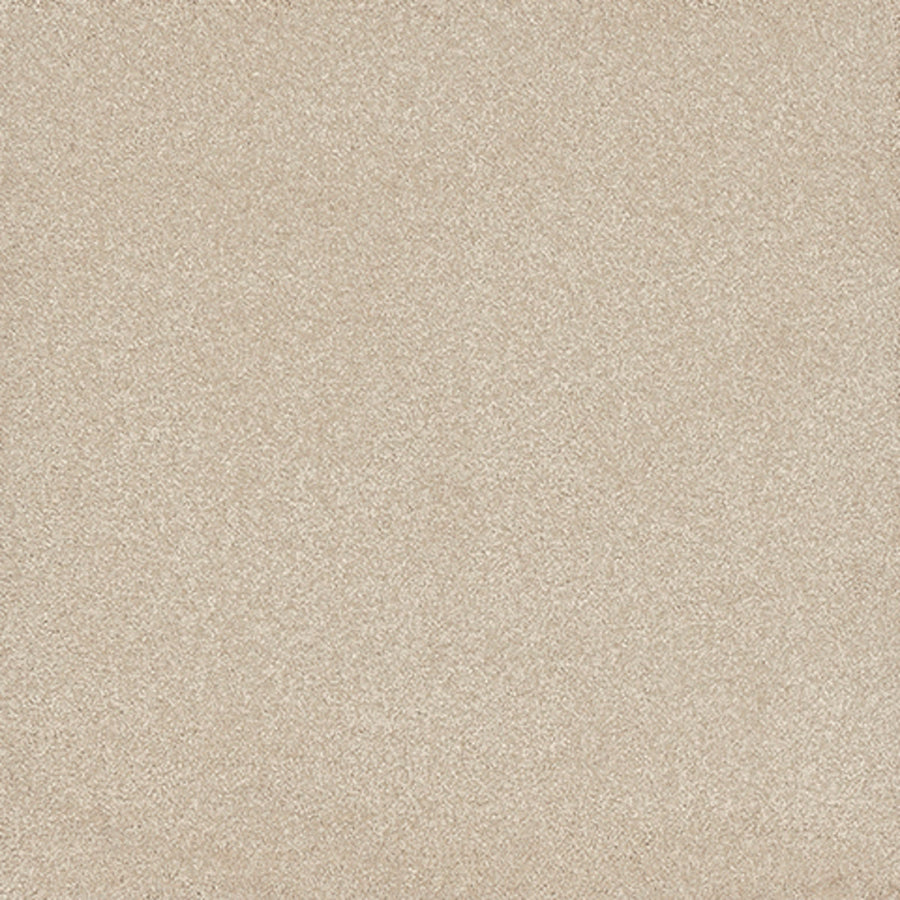 Tarkett Eterna Idyllic carpet swatch
