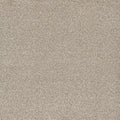 Tarkett Eterna Flirty carpet swatch