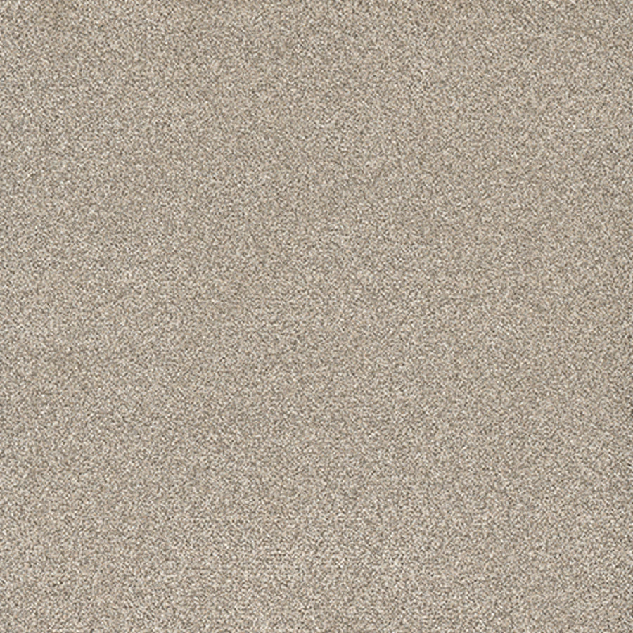Tarkett Eterna Flirty carpet swatch