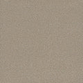 Tarkett Eterna Devoted carpet swatch