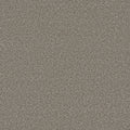 Tarkett Eterna Captivating carpet swatch