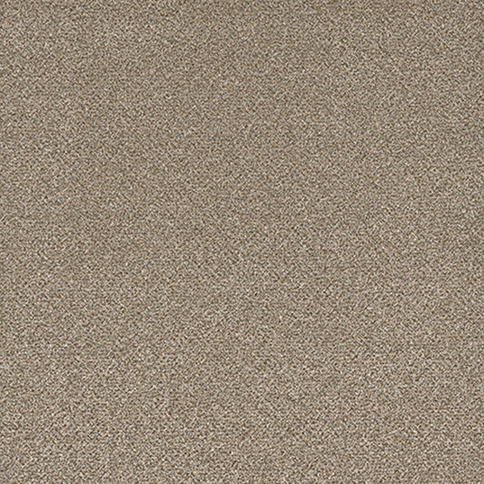 Tarkett Eterna Chateau carpet swatch
