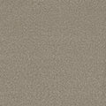 Tarkett Eterna Vineyard carpet swatch