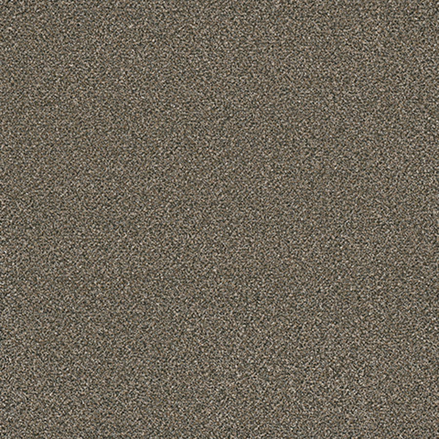 Tarkett Eterna Faithful carpet swatch