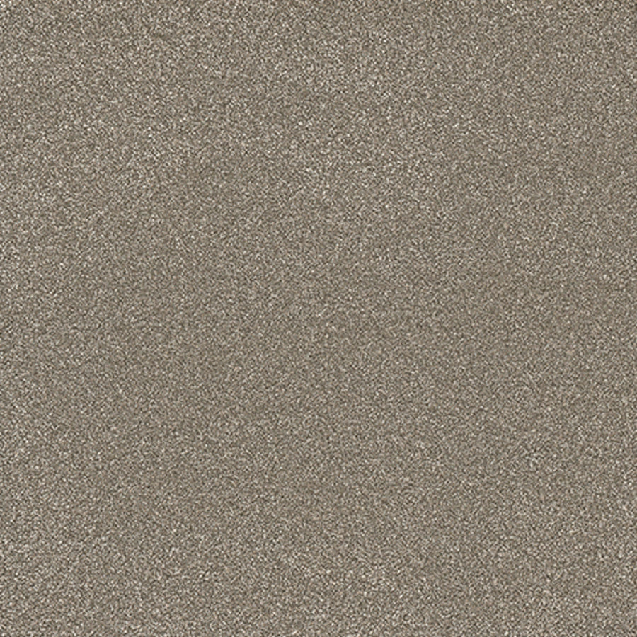 Tarkett Eterna Gallant carpet swatch