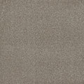 Tarkett Hidden Gem Precious carpet swatch