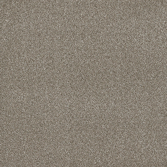 Tarkett Hidden Gem Precious carpet swatch