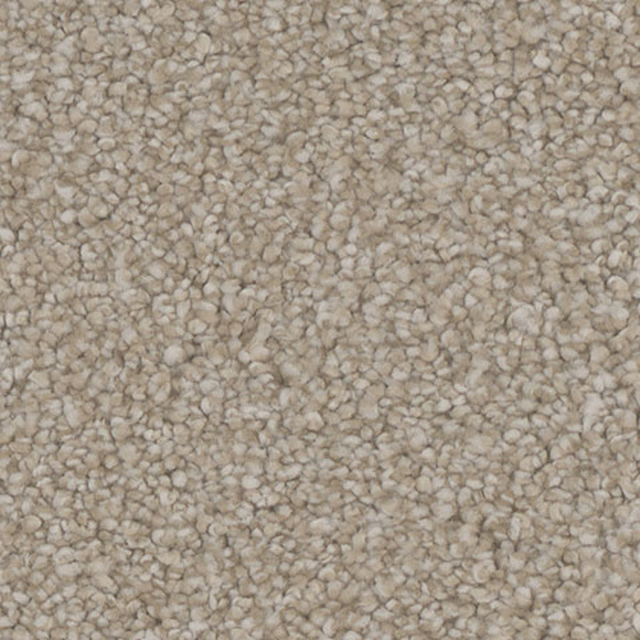 Tarkett Hypnotize Gratify carpet swatch