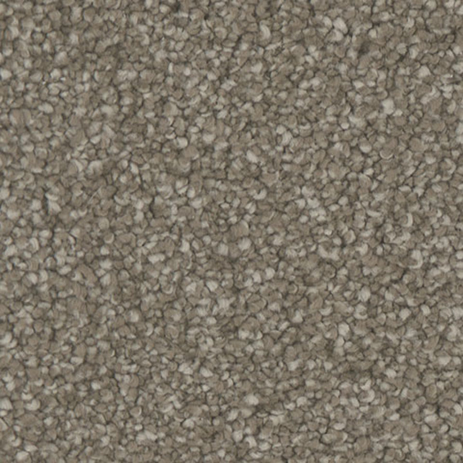 Tarkett Hypnotize Beauty carpet swatch