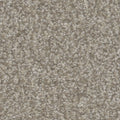 Tarkett Impress Delight carpet swatch