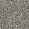 Tarkett Impress Overjoy carpet swatch
