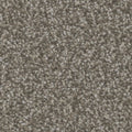 Tarkett Impress Captivate carpet swatch