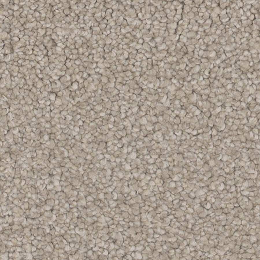 Tarkett Inspire Charm carpet swatch