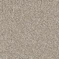 Tarkett Intrigue Charm carpet swatch