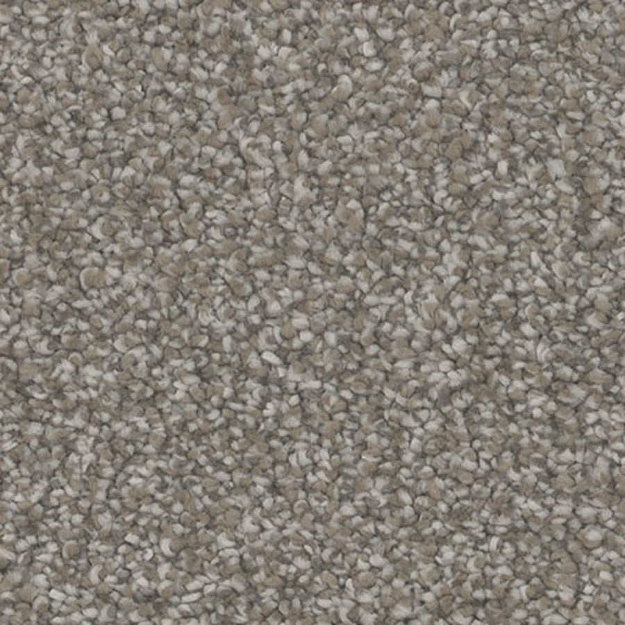 Tarkett Intrigue Tempt carpet swatch
