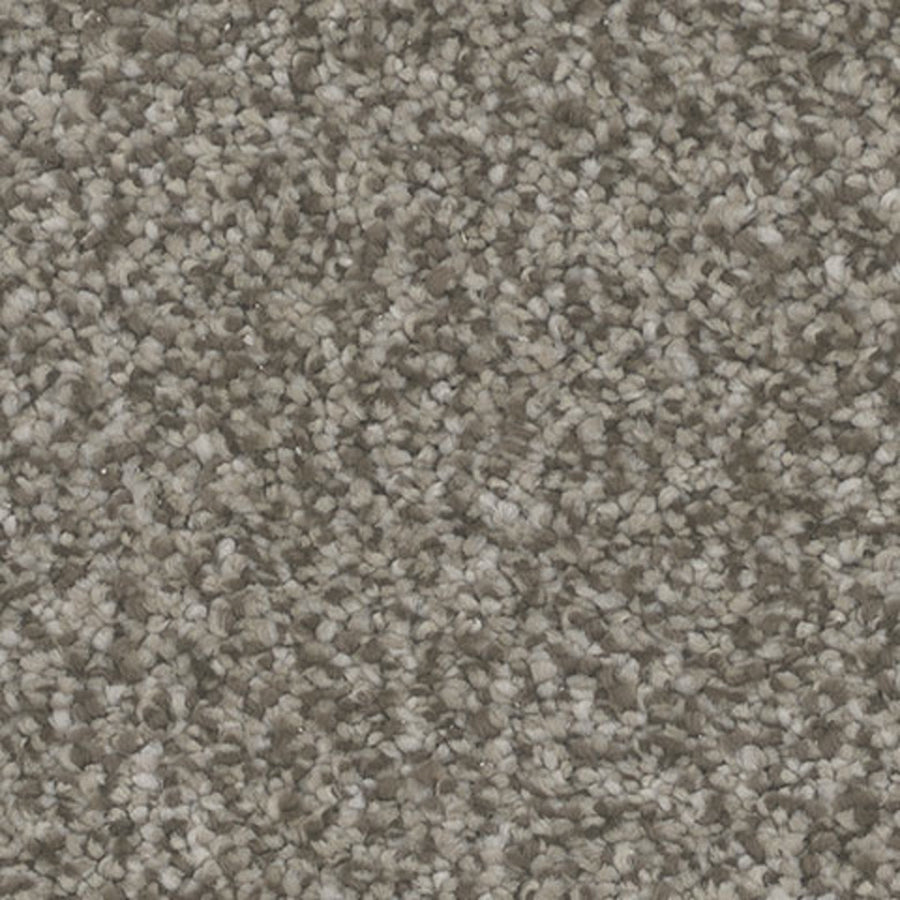 Tarkett Intrigue Conjure carpet swatch