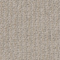 Tarkett Palisades Coastline carpet swatch