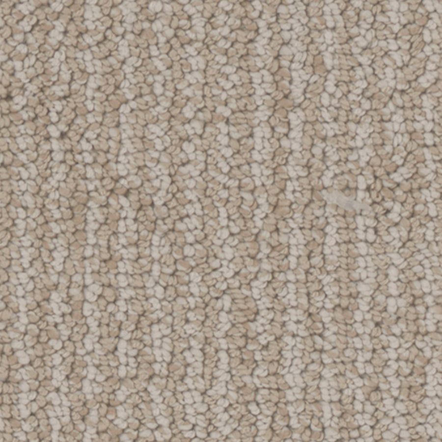Tarkett Palisades Canyon carpet swatch