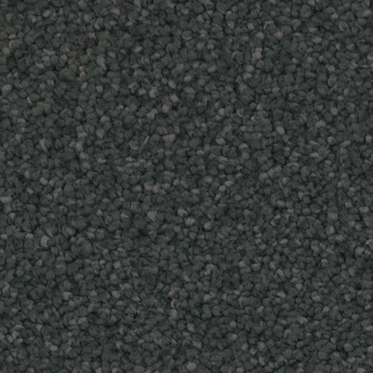 Tarkett Providence Garden carpet swatch