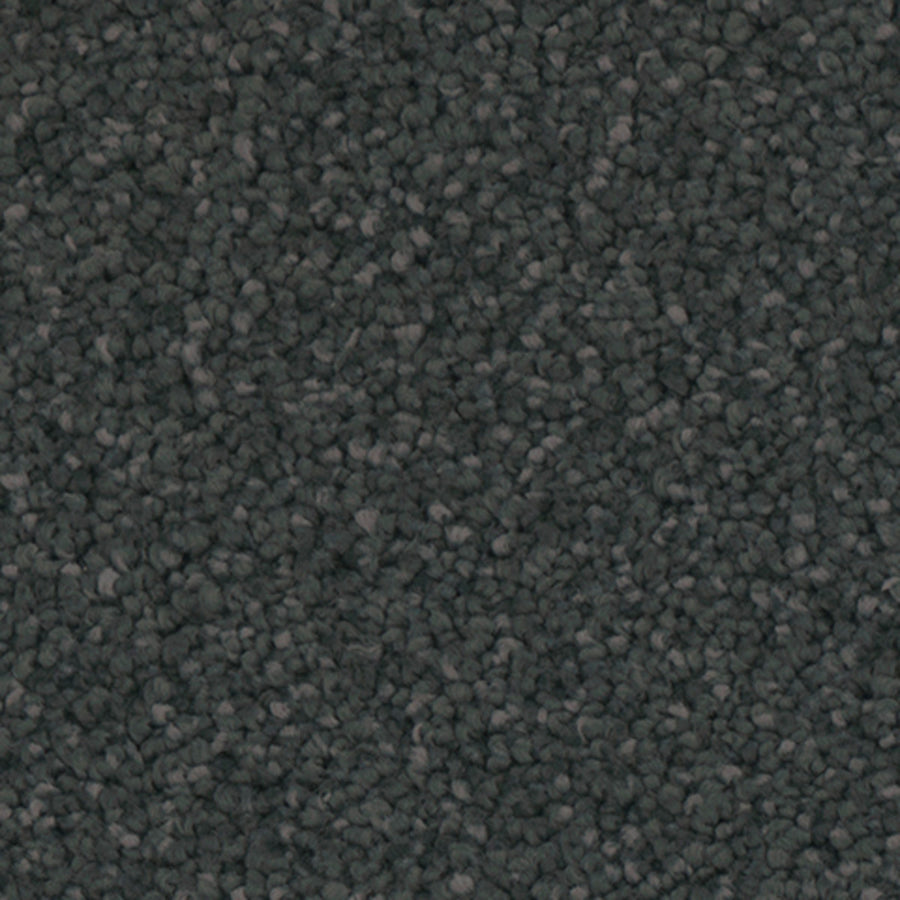 Tarkett Providence Garden carpet swatch