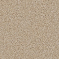 Tarkett Providence Townlet carpet swatch