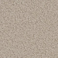 Tarkett Providence Victorian carpet swatch