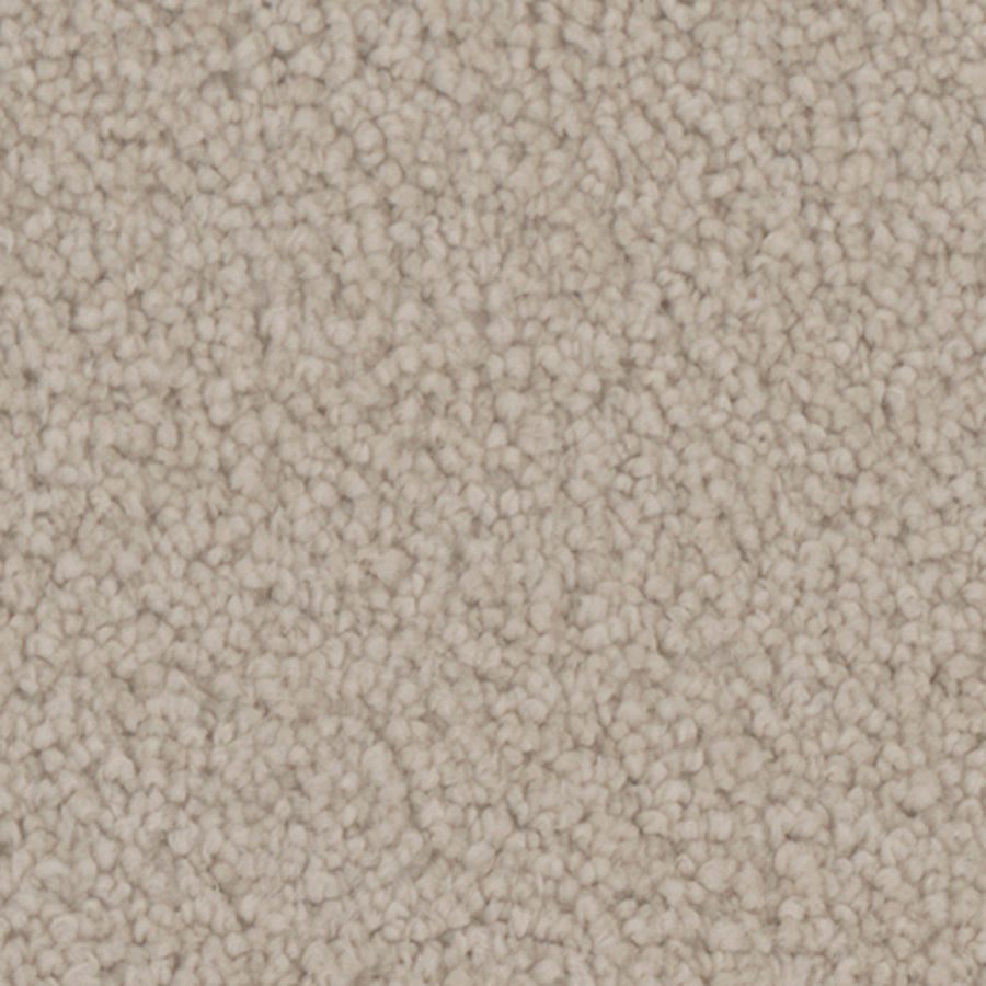 Tarkett Providence Victorian carpet swatch