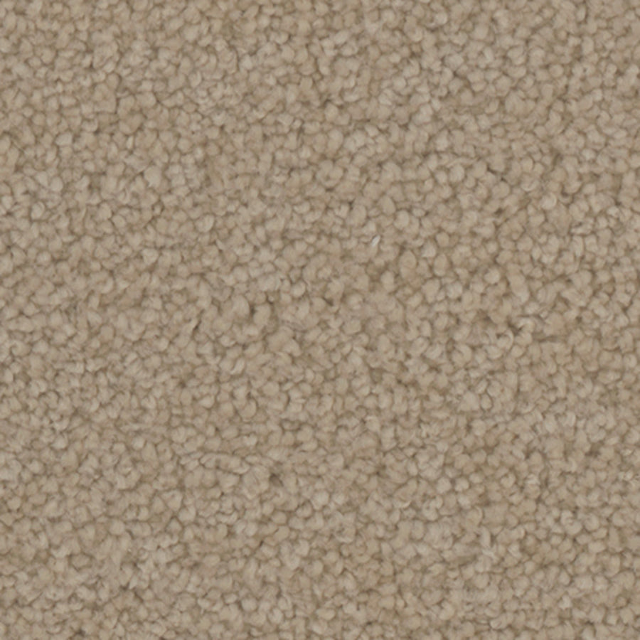 Tarkett Providence Grove carpet swatch