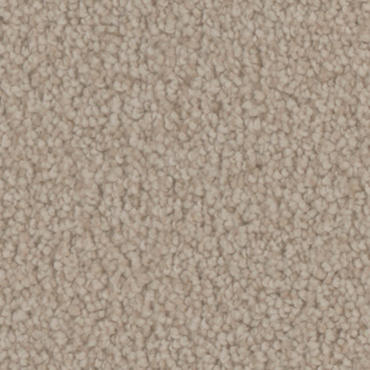 Tarkett Providence Borough carpet swatch