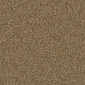 Tarkett Providence Treasure carpet swatch